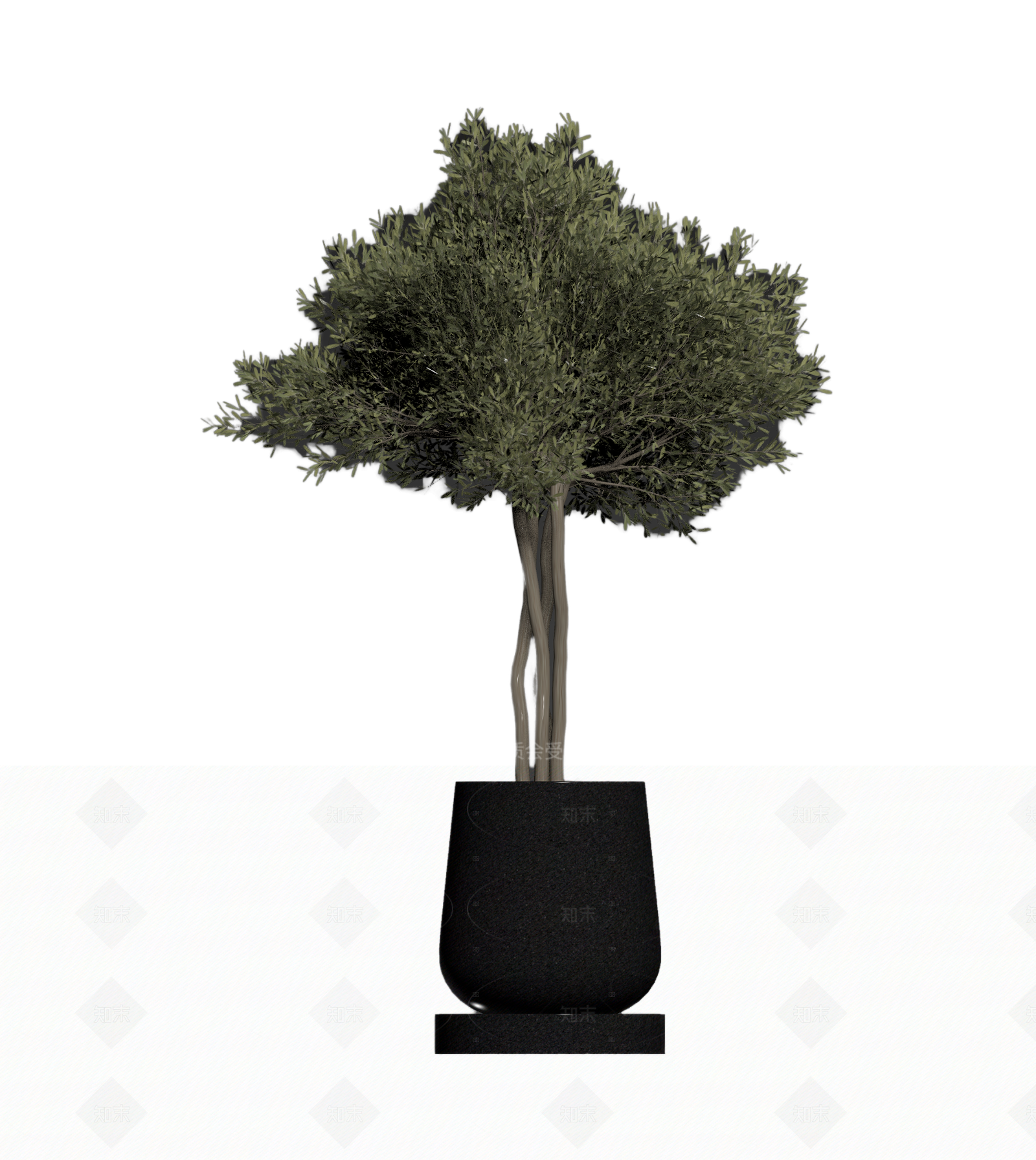 带盆完整盆栽3D模型下载【ID:1206186530】