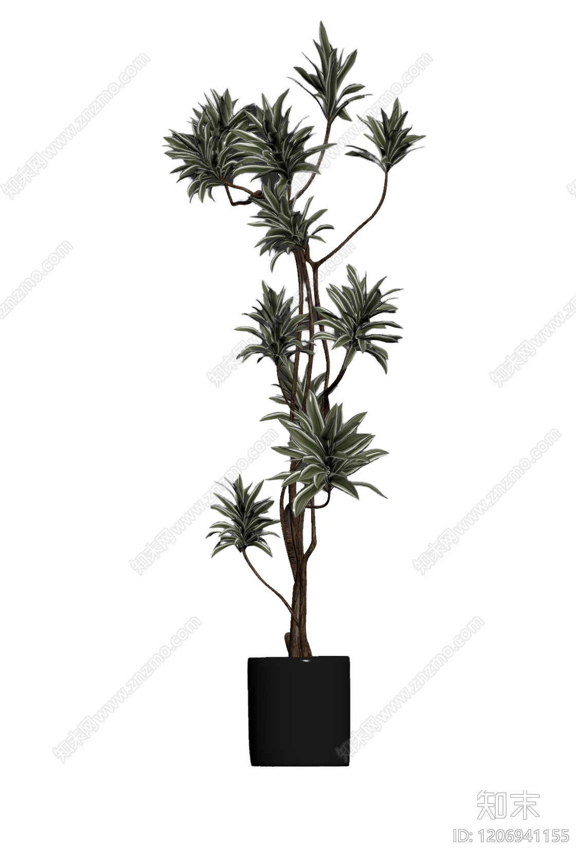 盆栽植物装饰3D模型下载【ID:1206941155】
