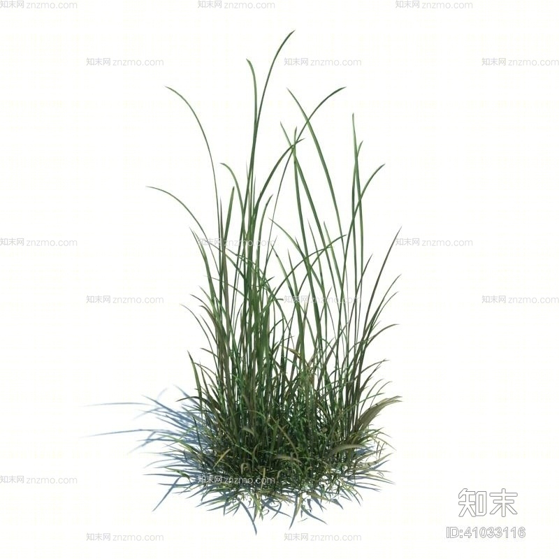 绿色草3D模型下载【ID:41033116】