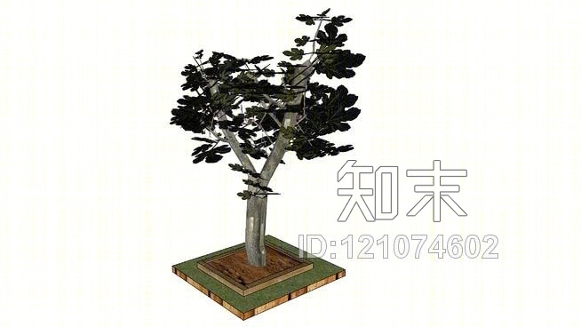 无花果树的果实三维地图的三维树SU模型下载【ID:121074602】