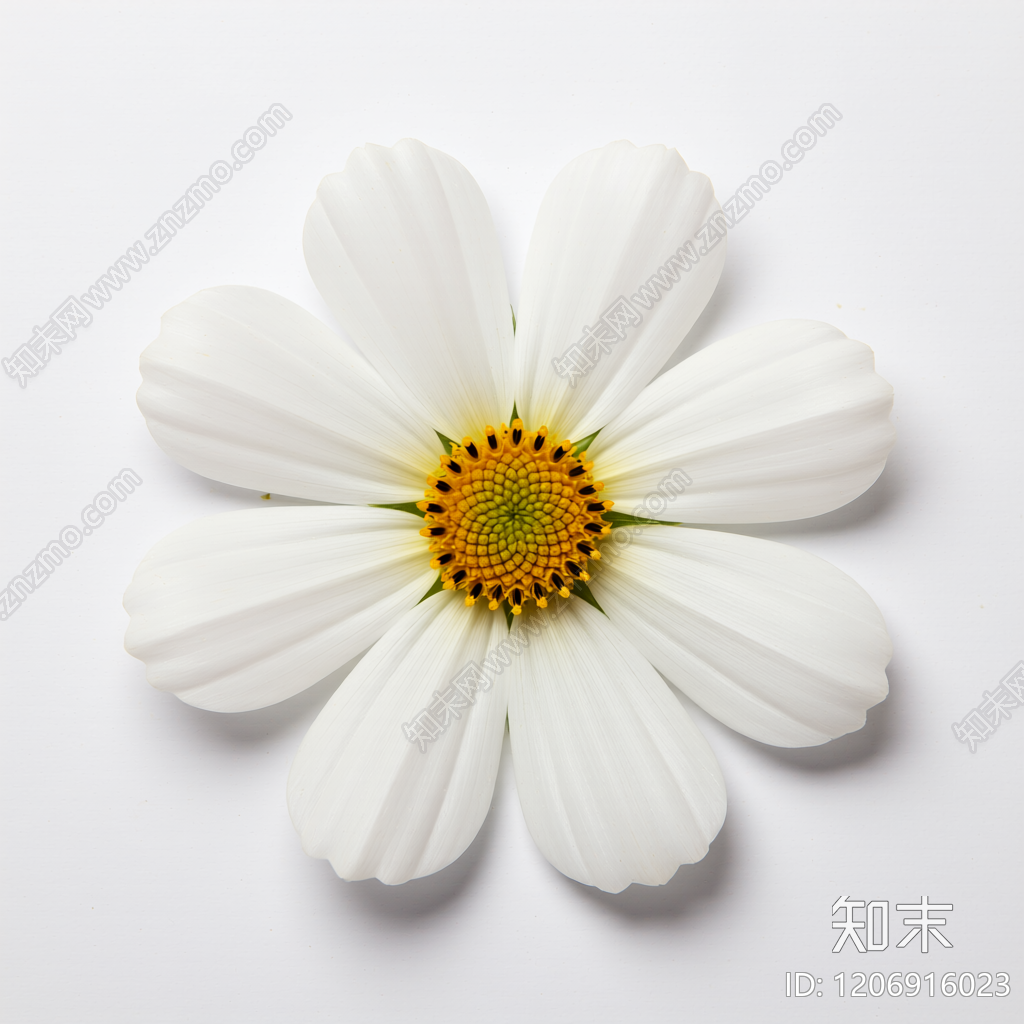 花朵造型装饰物3D模型下载【ID:1206916023】