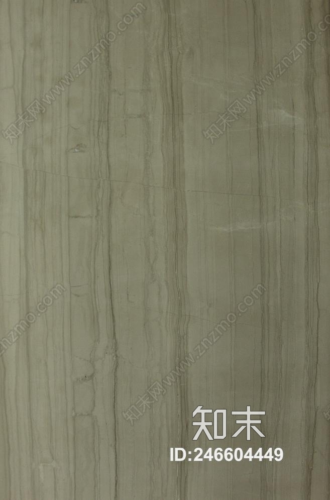 子非鱼贴图下载【ID:246604449】