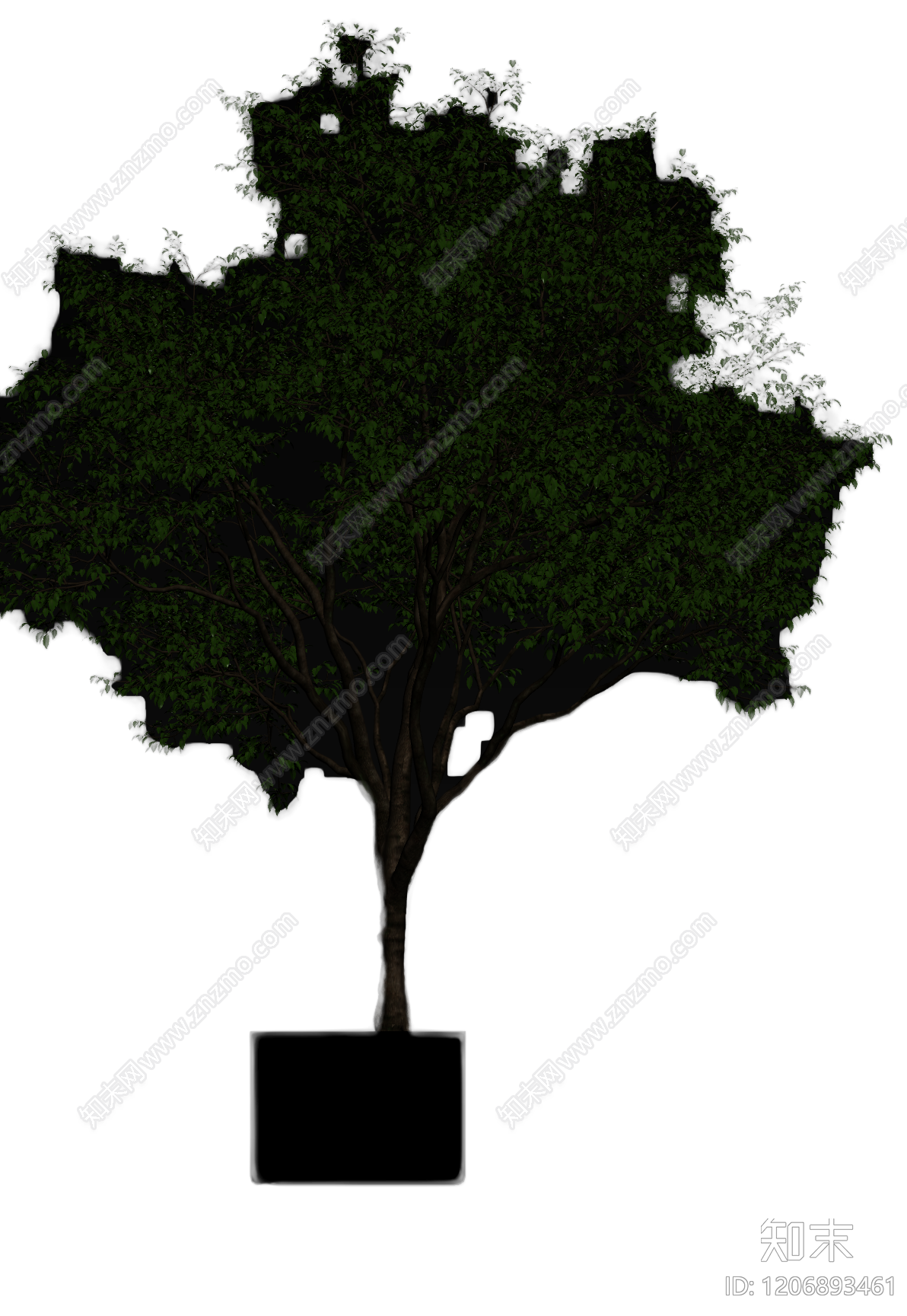 盆栽树带花盆3D模型下载【ID:1206893461】