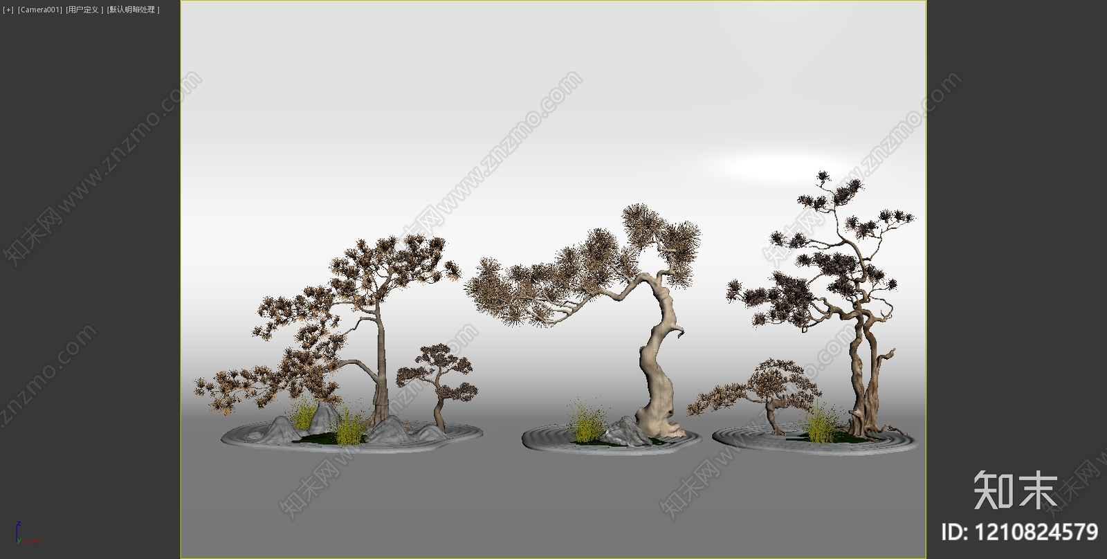 枝干纹理贴图下载【ID:1210824579】