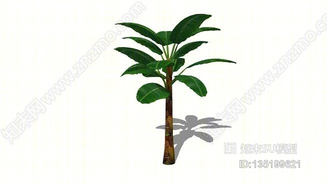 n-香蕉树SU模型下载【ID:135199621】