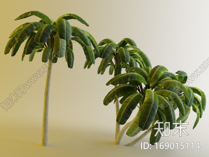 自己做的游戏椰树模型CG模型下载【ID:169015114】