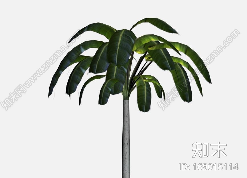 自己做的游戏椰树模型CG模型下载【ID:169015114】