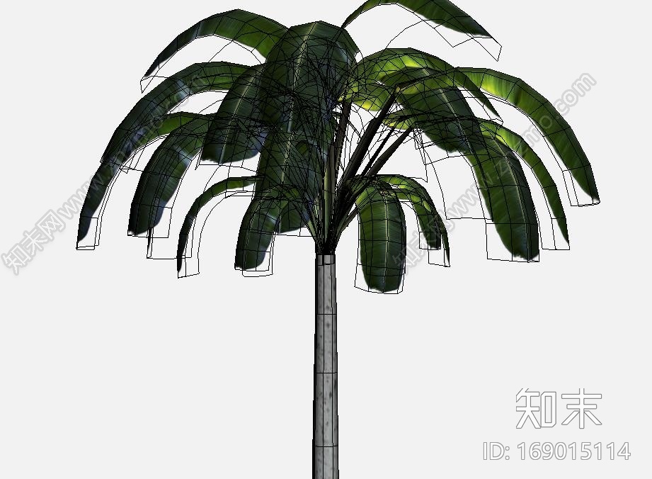自己做的游戏椰树模型CG模型下载【ID:169015114】