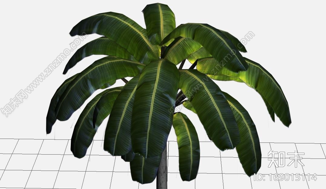 自己做的游戏椰树模型CG模型下载【ID:169015114】