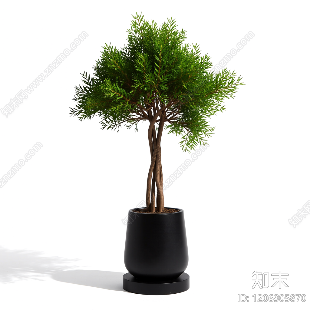 盆栽植物装饰3D模型下载【ID:1206905870】