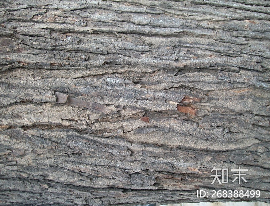 树皮贴图下载【ID:268388499】