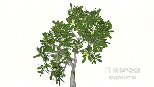 树SU模型下载【ID:27638713】