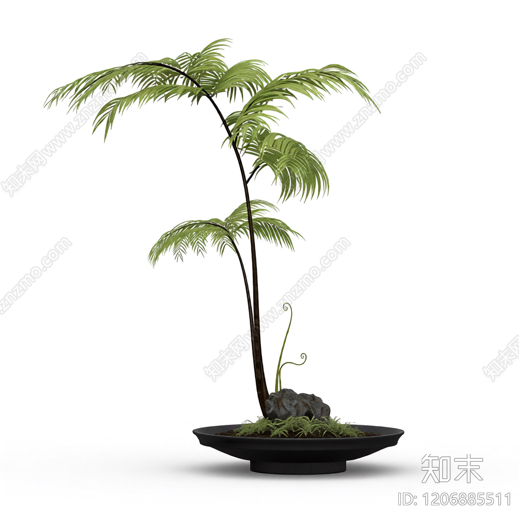 盆栽蕨类植物装饰3D模型下载【ID:1206885511】