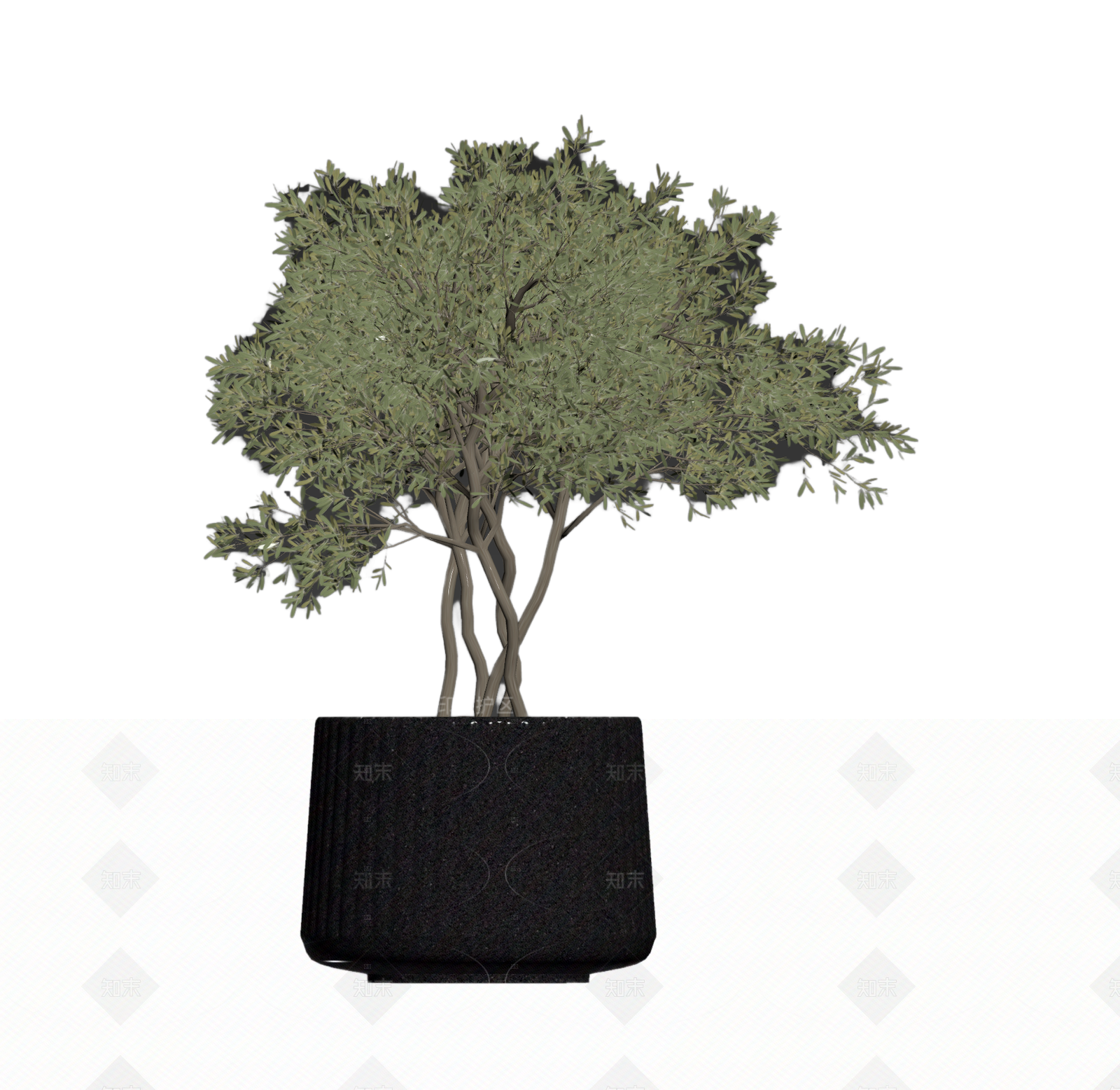 带盆完整盆栽3D模型下载【ID:1206187544】