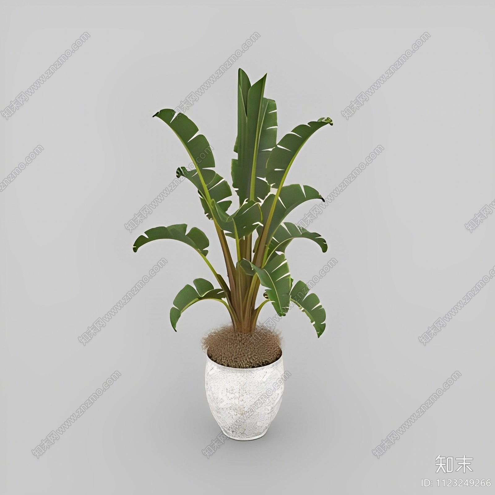 绿植盆栽免费3D模型下载【ID:1123249266】