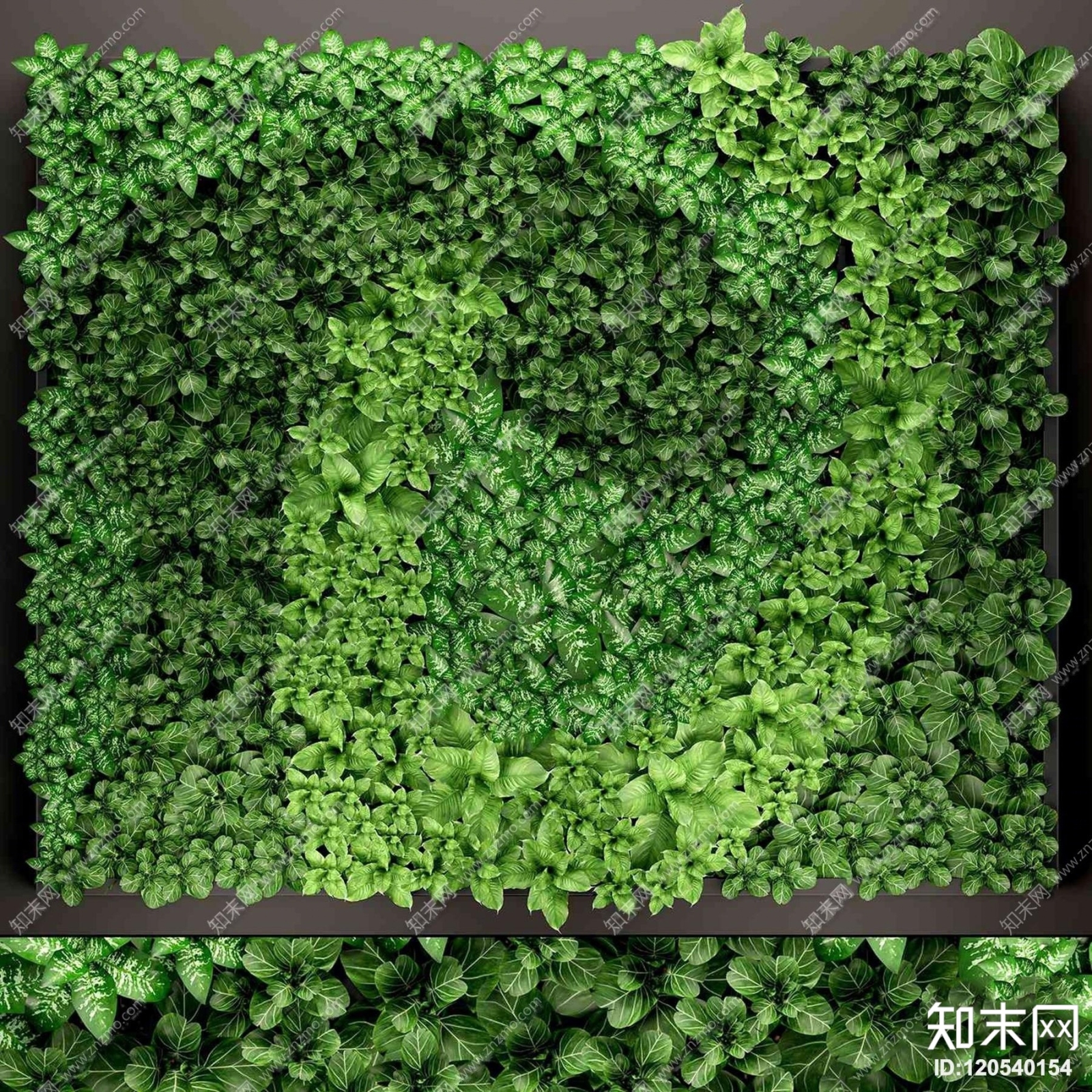现代植物背景墙3D模型下载【ID:120540154】
