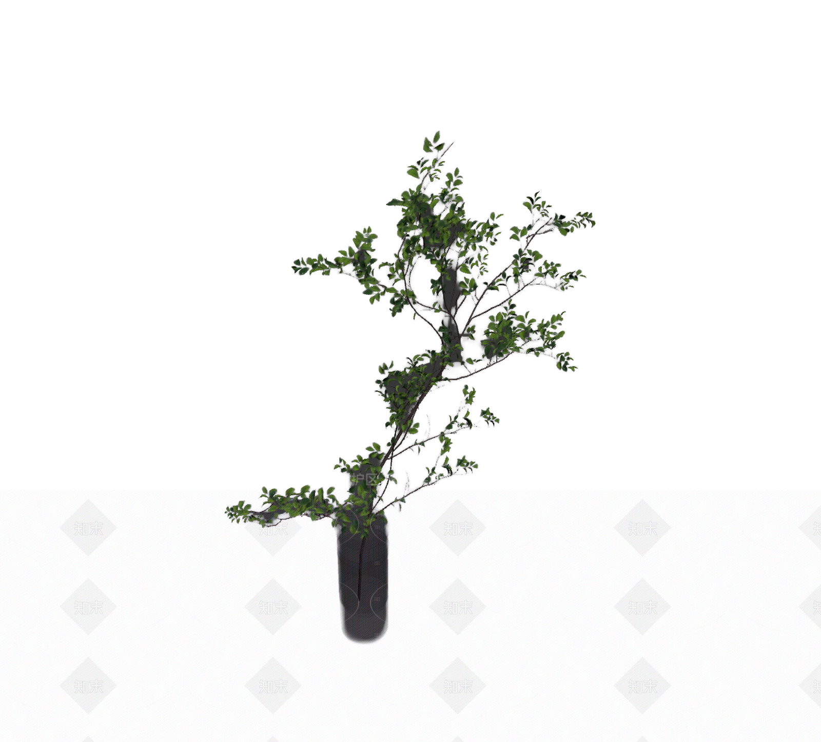 带盆枝叶盆栽3D模型下载【ID:1206204156】
