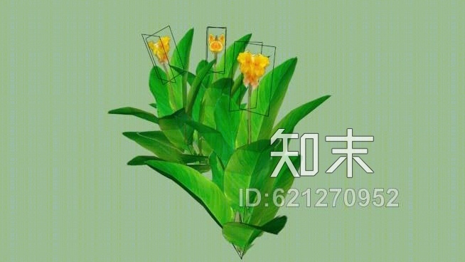 美人蕉百合SU模型下载【ID:621270952】