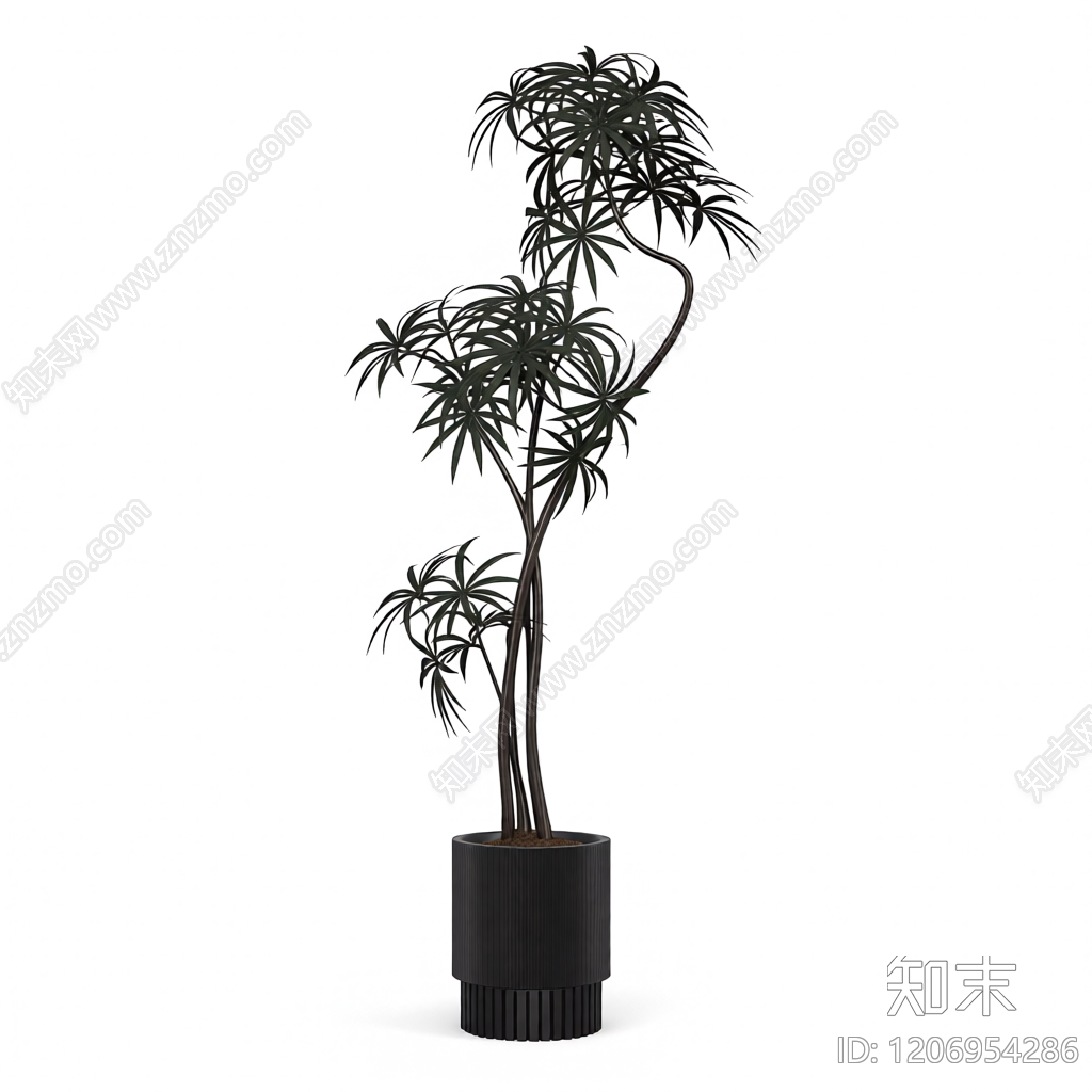 盆栽植物装饰3D模型下载【ID:1206954286】