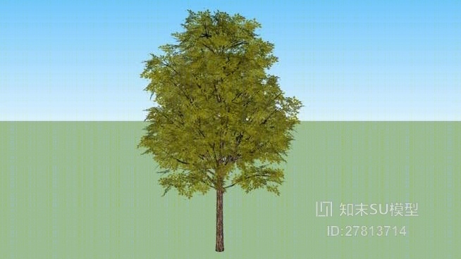 树SU模型下载【ID:117872657】