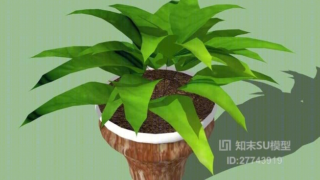 盆栽SU模型下载【ID:27743919】