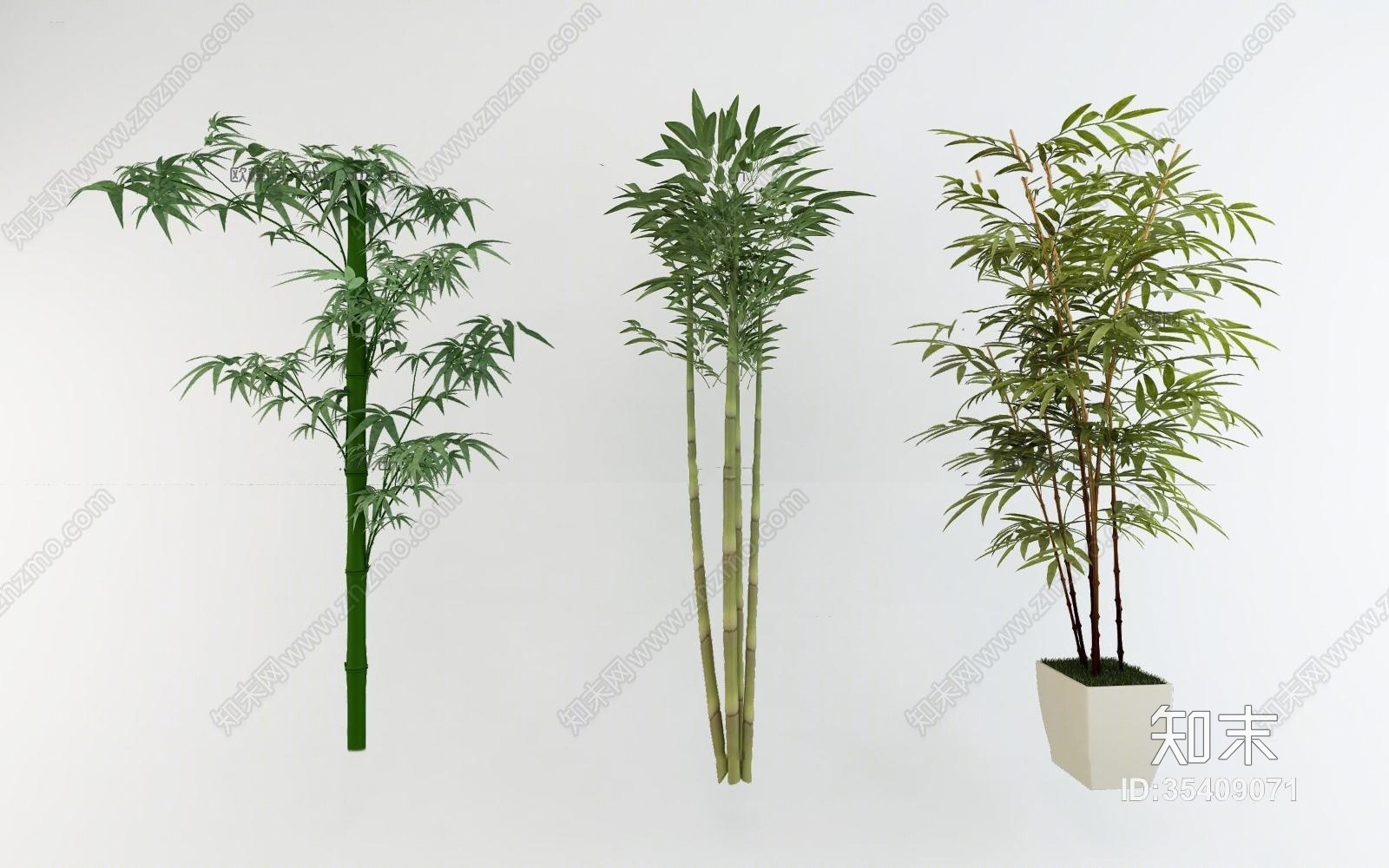 现代竹子盆栽3D模型下载【ID:35409071】