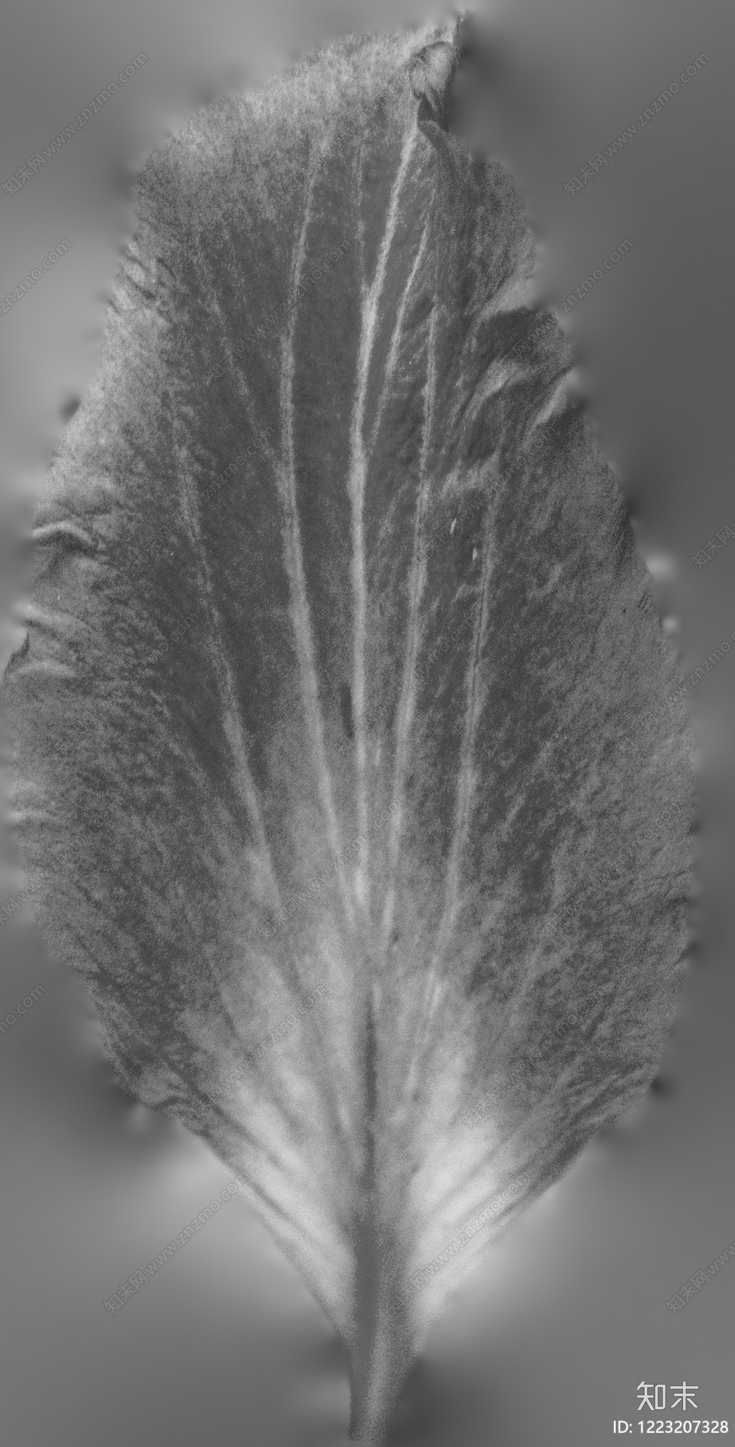 木纹凹凸贴图下载【ID:1223207328】