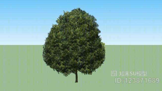 奥尔默榆树SU模型下载【ID:123871689】