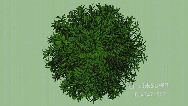 树SU模型下载【ID:118024666】