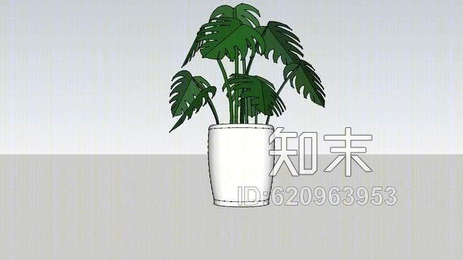 白罐植物SU模型下载【ID:620963953】