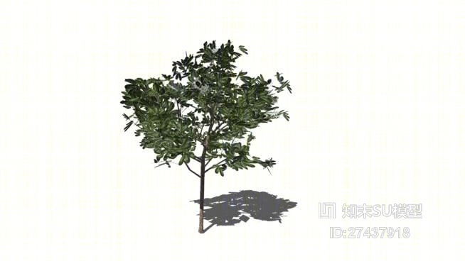 树SU模型下载【ID:117982624】