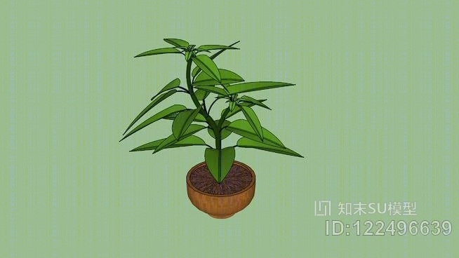 小树2SU模型下载【ID:122496639】