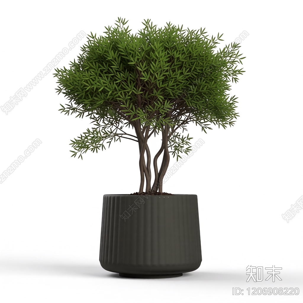 盆栽植物组合3D模型下载【ID:1206908220】