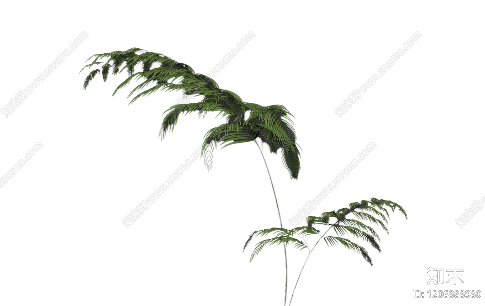 盆栽蕨类植物3D模型下载【ID:1206888980】