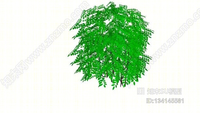 绣线菊属SU模型下载【ID:134145581】