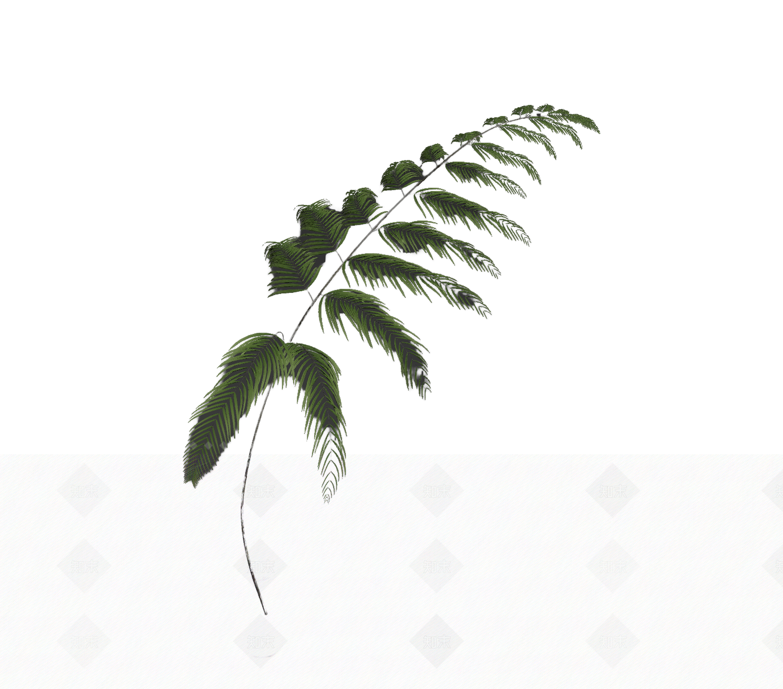 带盆绿色蕨类植物3D模型下载【ID:1206194026】