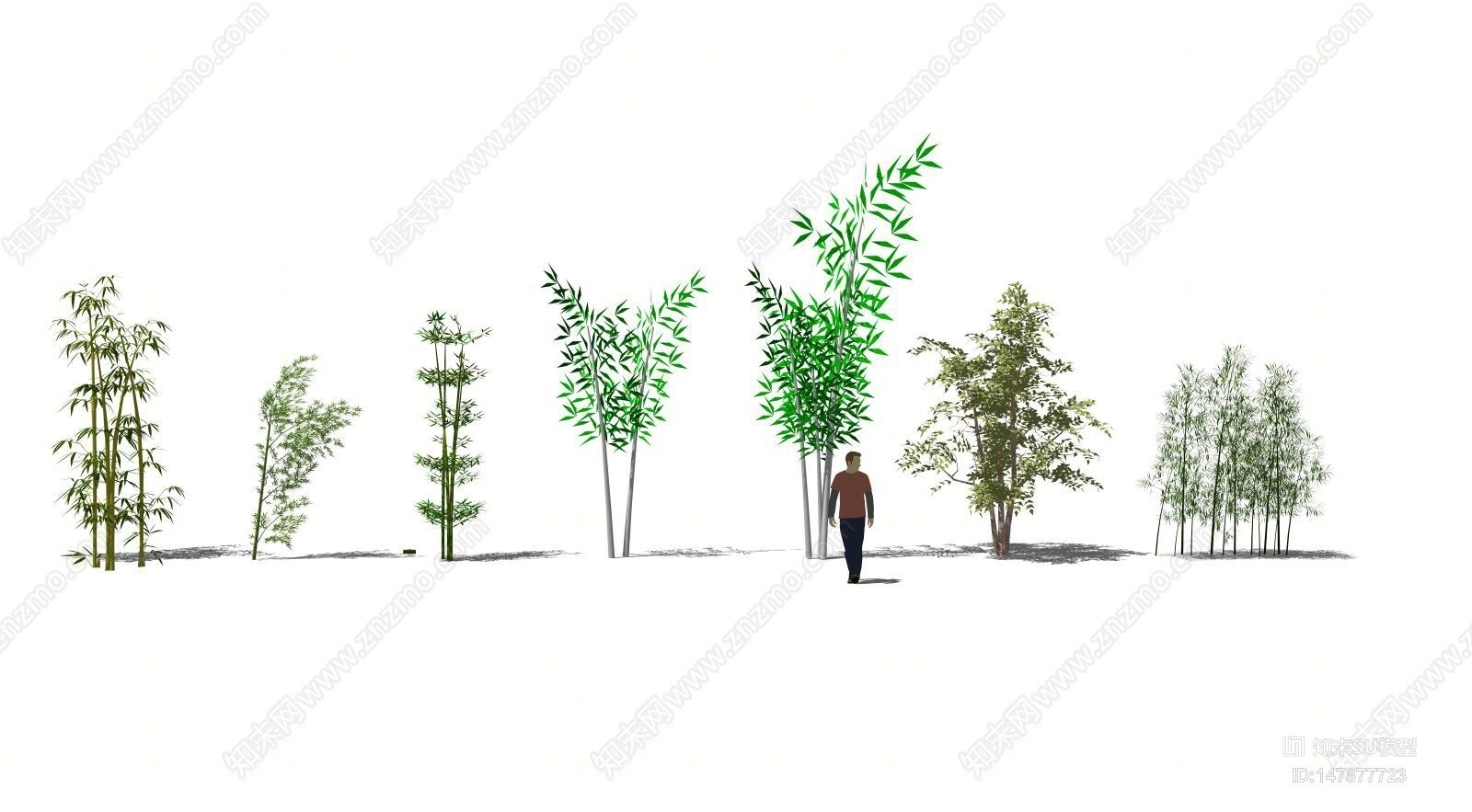 新中式竹文化植物竹子SU模型下载【ID:147877723】