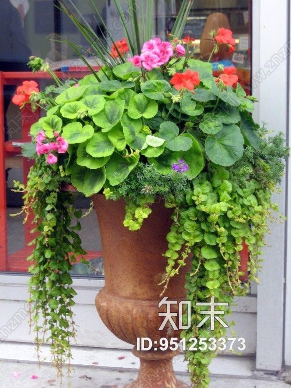 植物墙贴图下载【ID:951253373】