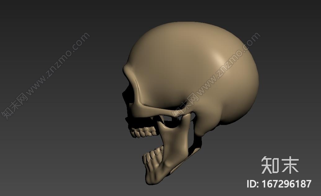 骷髅头.CG模型下载【ID:167296187】