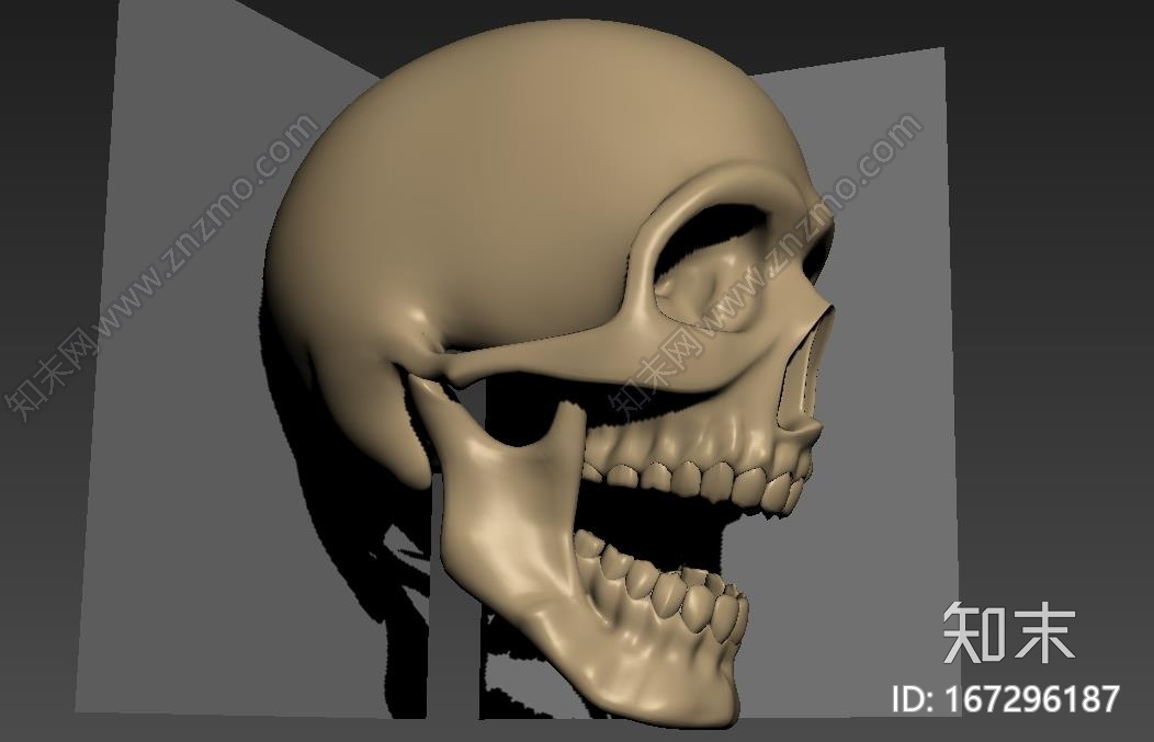 骷髅头.CG模型下载【ID:167296187】