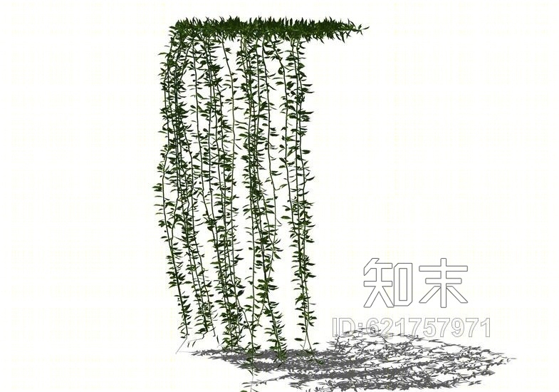 藤蔓爬墙植物SU模型下载【ID:621757971】
