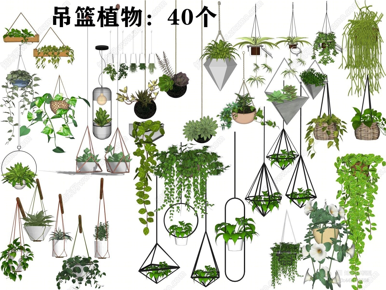 现代室内吊篮植物SU模型下载【ID:447100558】