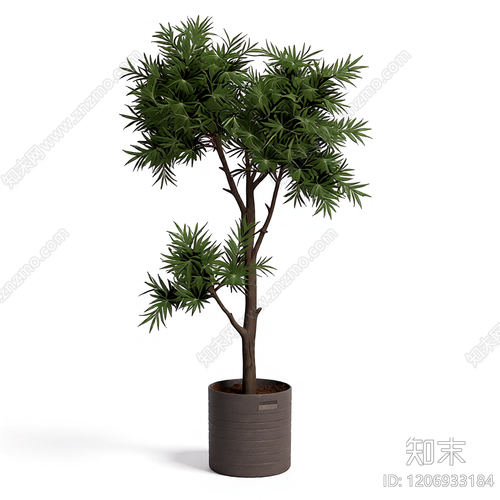 盆栽植物组合3D模型下载【ID:1206933184】