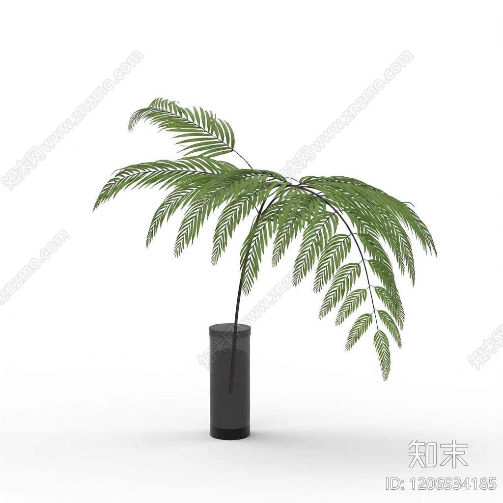 盆栽蕨类植物3D模型下载【ID:1206934185】