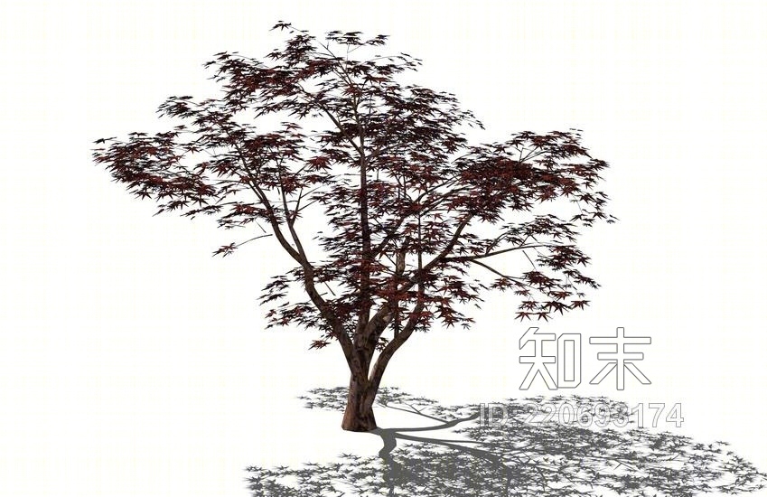 3D植物树SU模型下载【ID:220693174】