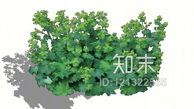 魔女：女人的披风SU模型下载【ID:121322585】
