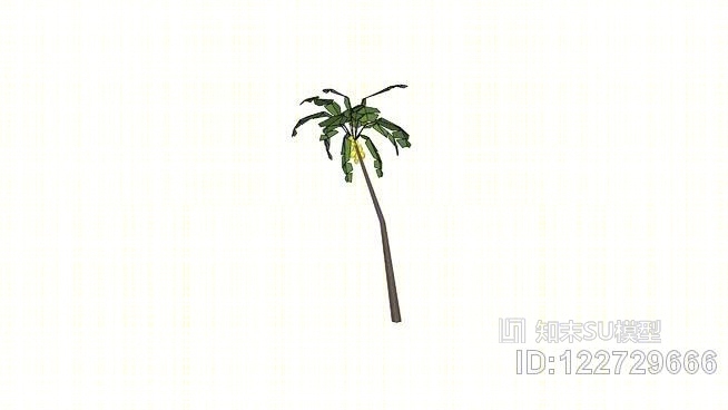 热带扇棕榈树SU模型下载【ID:122729666】