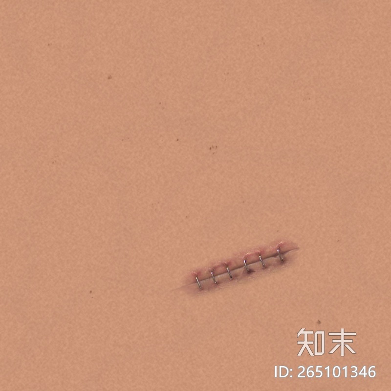 皮肤贴图下载【ID:265101346】