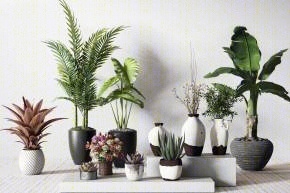 现代绿植花卉盆栽组合3D模型下载【ID:320327859】