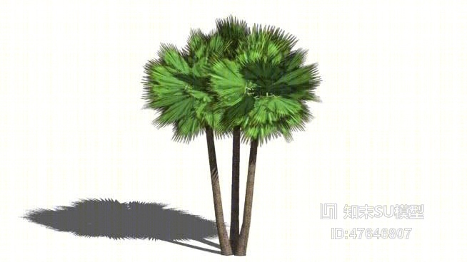 树SU模型下载【ID:47646807】